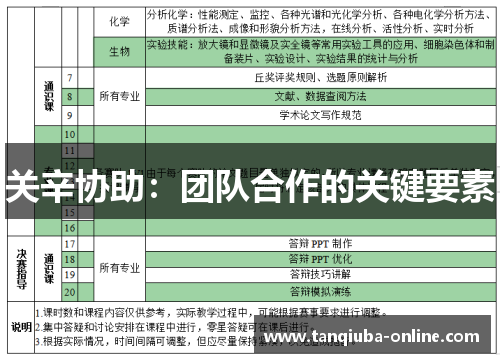 关辛协助：团队合作的关键要素