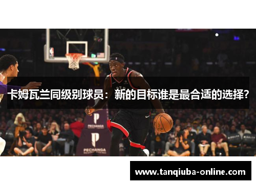卡姆瓦兰同级别球员：新的目标谁是最合适的选择？