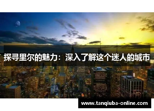 探寻里尔的魅力：深入了解这个迷人的城市